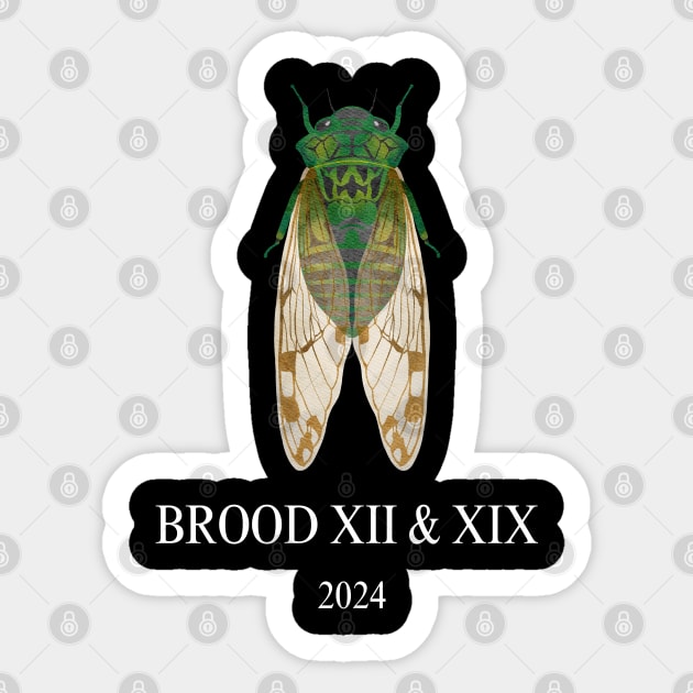 Cicada Brood XIII & XIX 2024 Sticker by Dylante